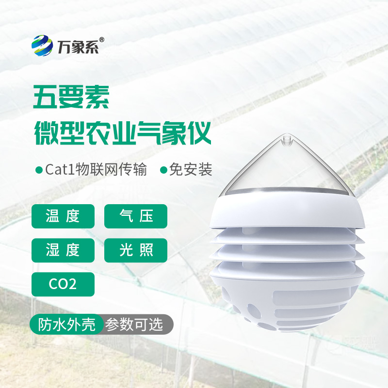 五要素微型農業(yè)氣象儀