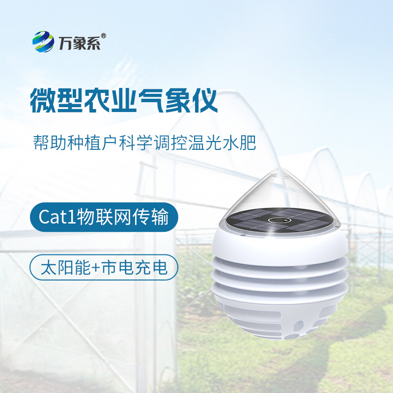 微型農業(yè)氣象儀