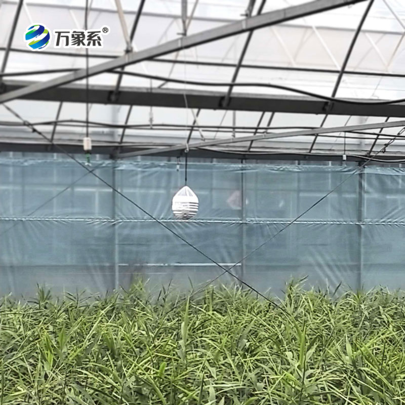 大棚水滴气象站